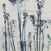 Alliums & Bluebells and underglazes on framed porcelain tiles
