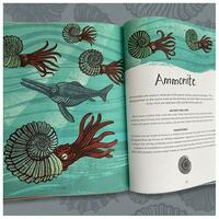 Ammonites - Above, Below and Long Ago