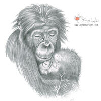 Gorilla and Baby (Graphite Pencil) - The Natural World, Sketchbook Heaven
