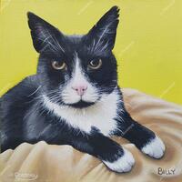 Jo Chesney - Billy the Cat Pet Portrait. Acrylic Painting on Canvas Board