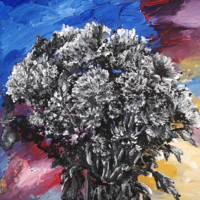Acrylic Painting - "Bloomin Colours" - B&W Painting of Flowers in front of an abstract background comprising of the colours Alex saw within the flowers