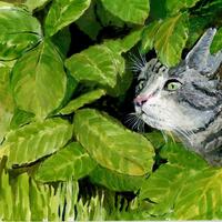 Barrett the cat.. illustraton for a poem - Inktense
