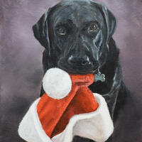 Christmas Shadow the dog & Christmas Hat, 16x11" canvas Alla prima painting