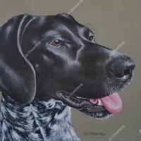 Cleo by Jo Chesney. German Shorthaired Pointer Dog Portrait in acrylic on canvas