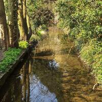 Photograph of stream by path off Cottonmill Lane, St Albans