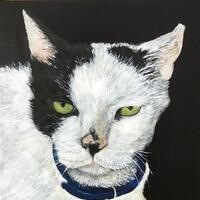 Tom, acrylic painting, a cat who has enjoyed life.
