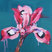'Evoke' (50x50cm) - Colourful, modern pop art style Iris flower painting
