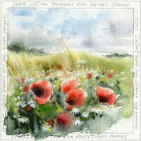 Field Poppies - watercolour by Sue Wookey