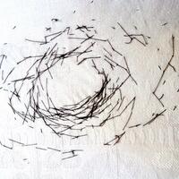 Nest - hand stitch onto recycled damask tablecloth from 'blind' drawing