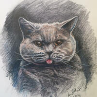 Grace with her tongue out - coloured pencil 