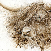 Highland Cattle - Walnut Ink