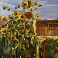 sunflowers Corfu 2020