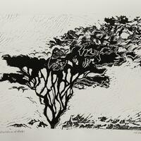 A Building of Rooks . Lino image size A3