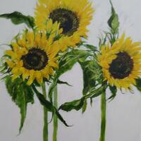 "Sunflower trio" oil on canvas 27x24ins