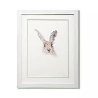 'Curious Hare' from the Curious wildlife collection of Watercolour portraits. Available for sale as high quality prints, A5 or A4 printed individually  on textured high quality paper and colour matched to the original. Framed versions available. Please contact me for details. Commissions considered. 