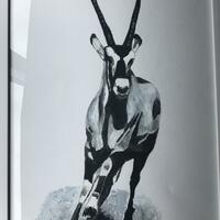 Antelope in flight. Acrylic on paper, framed.