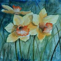 Spring Daffodils - watercolour