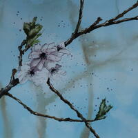 Spring blossom - watercolour