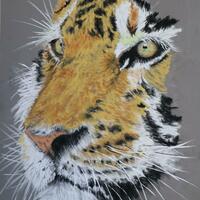 Tiger in Pastels