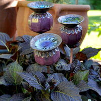 purple ceramic poppy seed heads in planter