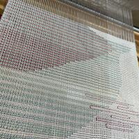 Drawing a design on the loom
