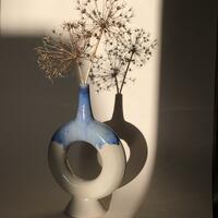 Torus Vase with shadow