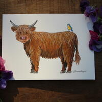 A5 study of a highland cow and his little bluebird friend. Acrylic and Ink on watercolour paper. 