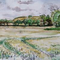 Over Barley Field - Hexton, Watercolour and pen sketch