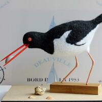 Oystercatcher - needlefelted sculpture mounted on a wood base