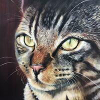 Tabby Cat Oil on Canvas