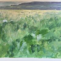 Meadow flowers looking over The Burren, County Clare. Acrylic gouache on paper; 35 x 46cm.