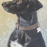 Lucy by Jo Chesney. Dog Pet portrait in acrylic on canvas