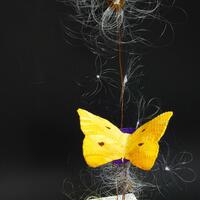 A 3D woven sculptural piece of a yellow woven tapestry butterfly which is sitting on a circular woven purple flower under a woven fishing line seed head
