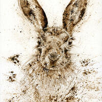 Mad March Hare - Walnut Ink