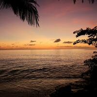 Tropical Sunset Barbados
