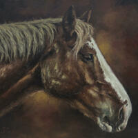 Horse Portrait in Oils, 2024