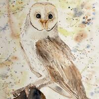 Ollie the Owl watercolour painting