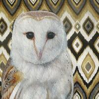 Barn owl on jazzy ground.  Prints and cards available. 