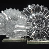 Lead crystal ammonites with silver leaf embellishment.