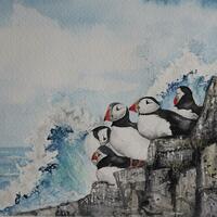 Puffins - watercolour