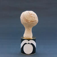 Figurehead: brain.  Ceramic, wax, copper, brass (H) 15cm, £400