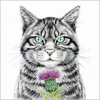 Scottish Wildcat - ink and watercolour by Sue Wookey
