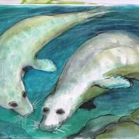 Swimming Seals - Inktense