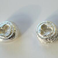 Silver eucalyptus stud earrings by Teague
