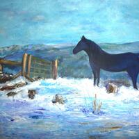 Snow on Dartmoor - Mary Ann Day