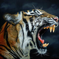 Essence, Tiger, Tiger painting, TPinnington, roaring tiger, wildlife art