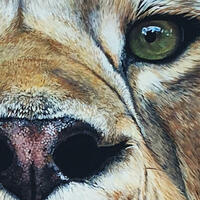 Fierce Nobility, Lion head, Male Lion, Close up of a lion head, African wildlife art, Lion eye close up, details