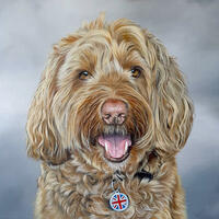 Robson, Australian labradoodle, Pet portrait, commissioned painting, Dog, Aussie doodle with tongue out