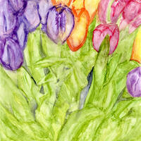 Watercolour painting of tulips close up