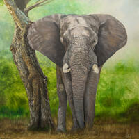 Two Trunks, Elephant Oil Painting 24x24" canvas 
